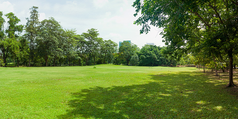 terrain