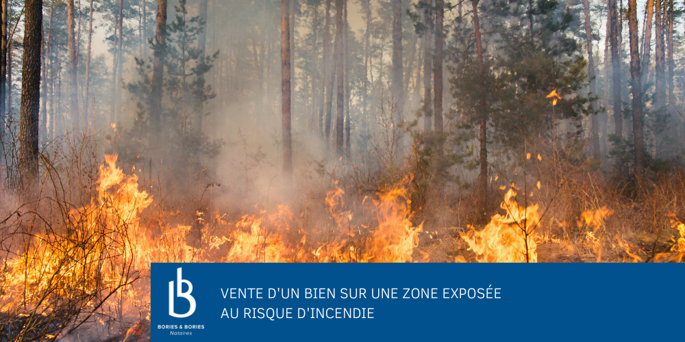 Vente d'un bien sur une zone exposée au risque d'incendie