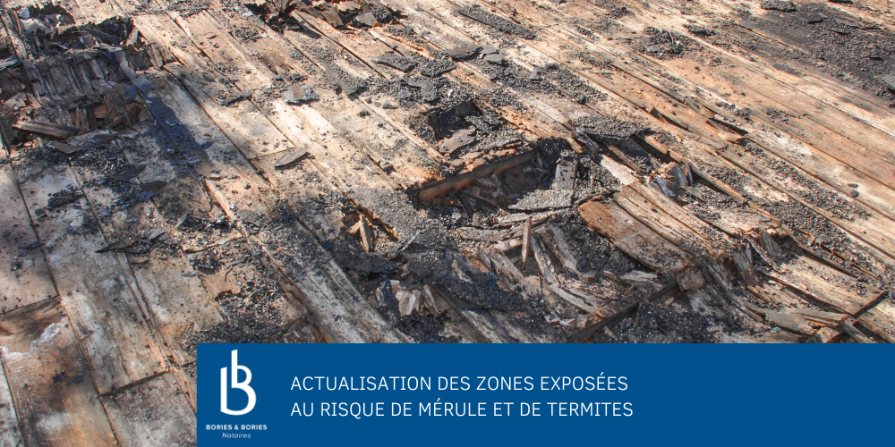 Actualisation des zones exposées au risque de mérule et de termites